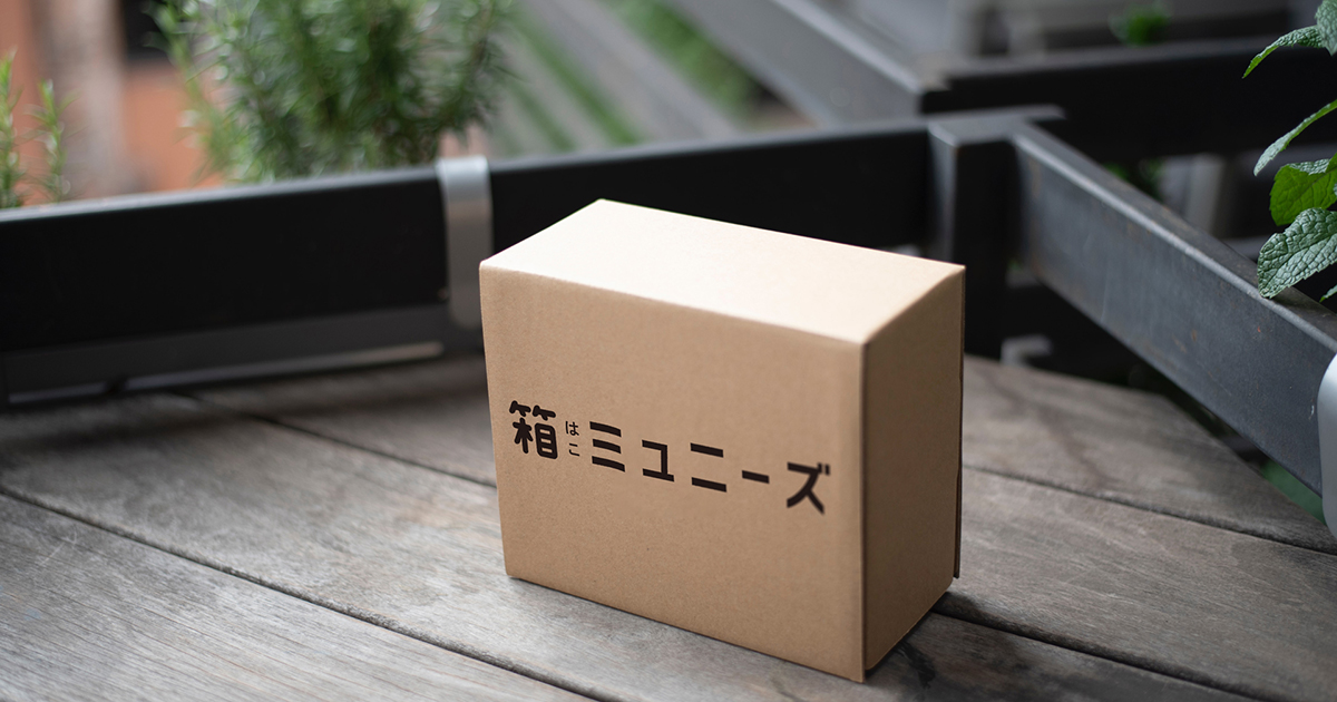 箱のかたち➁ | 箱ミュニーズ